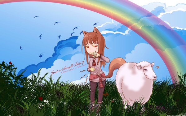 Anime picture 2560x1600 with spice and wolf horo highres wide image