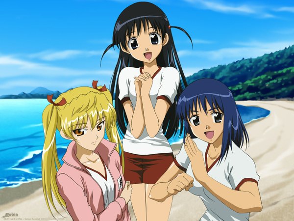 Anime picture 1600x1200 with school rumble tagme