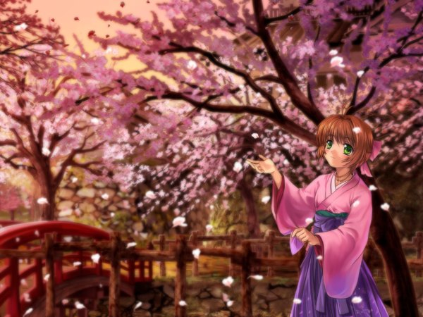 Anime picture 1600x1200 with card captor sakura clamp kinomoto sakura mutsuki (moonknives) short hair brown hair green eyes japanese clothes cherry blossoms kimono