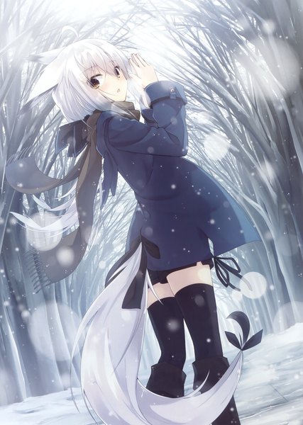 Anime picture 2494x3500 with original nagishiro mito single long hair tall image looking at viewer blush fringe highres open mouth standing brown eyes animal ears silver hair ahoge outdoors tail animal tail looking back dutch angle