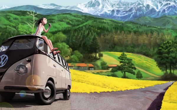 Anime picture 1680x1050 with original volkswagen range murata single long hair black hair brown hair wide image brown eyes wind black eyes lens flare mountain landscape nature field girl dress flower (flowers) plant (plants)