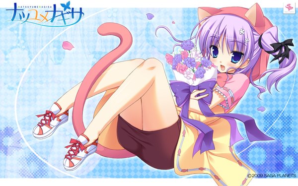 Anime picture 1920x1200 with natsu yume nagisa saga planets (studio) mihama hitsuji moribe (rabumanyo) single long hair blush highres open mouth blue eyes wide image animal ears purple hair ponytail tail cat ears cat tail wallpaper legs side ponytail