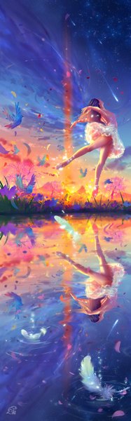 Anime picture 850x2720 with original mikan (artist) long hair tall image black hair standing sunlight outstretched arm evening standing on one leg reflection sunset spread arms flying meteor rain ballerina ballet girl flower (flowers) plant (plants)
