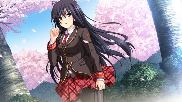 Anime picture 1280x720 with koi suru kimochi no hanakotoba yaegashi tsubaki single long hair looking at viewer blush open mouth black hair wide image purple eyes game cg cherry blossoms girl skirt uniform plant (plants) school uniform petals tree (trees) red skirt