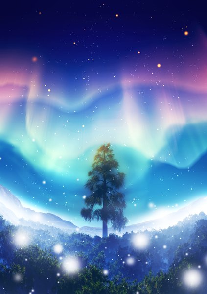 Anime picture 1200x1700 with original y-k tall image sky night night sky winter no people landscape scenic 3d aurora borealis plant (plants) tree (trees) star (stars) forest