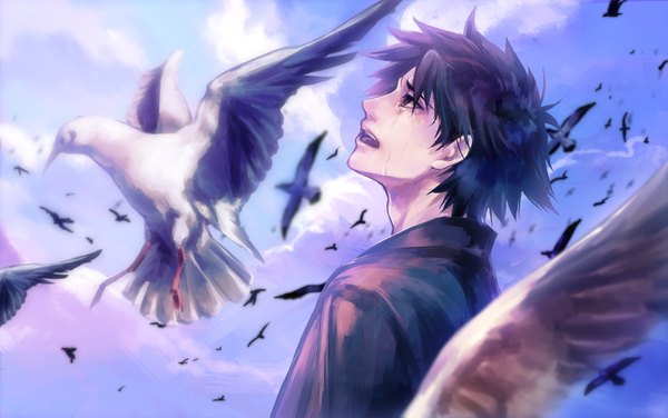 Anime picture 1600x1003 with fate (series) fate/stay night fate/zero studio deen type-moon emiya kiritsugu tamachi kuwa short hair open mouth black hair wide image sky cloud (clouds) black eyes tears crying boy animal bird (birds)