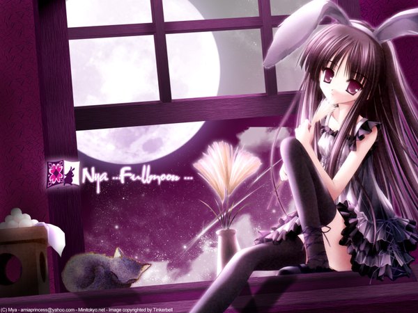 Anime picture 1600x1200 with tinker bell bunny girl purple background girl moon cat