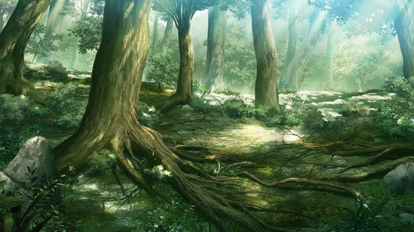 Anime picture 2560x1440 with grisaia no kajitsu highres wide image game cg sunlight nature plant (plants) tree (trees) forest roots