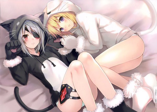 Anime picture 2799x2000 with infinite stratos 8bit charles dunois laura bodewig fukahire (ruinon) blush highres short hair light erotic blonde hair red eyes purple eyes multiple girls animal ears silver hair tail animal tail cat ears scan cat tail