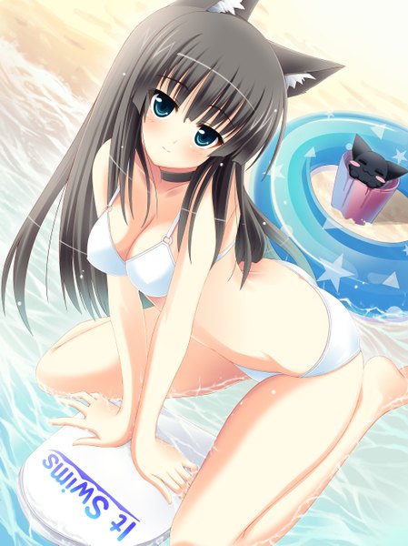 Anime picture 2072x2769 with original usagi nezumi long hair tall image highres blue eyes light erotic black hair animal ears cat girl girl swimsuit bikini cat white bikini