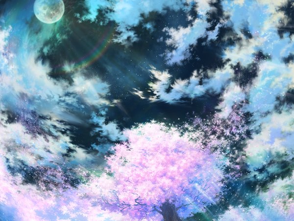 Anime picture 1600x1200 with iy (tsujiki) sky cloud (clouds) night sky landscape plant (plants) petals tree (trees) moon star (stars) rainbow