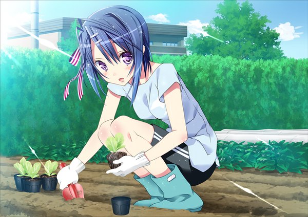 Anime picture 1024x725 with friends (game) single blush short hair open mouth purple eyes blue hair game cg girl hair ornament plant (plants) hairclip
