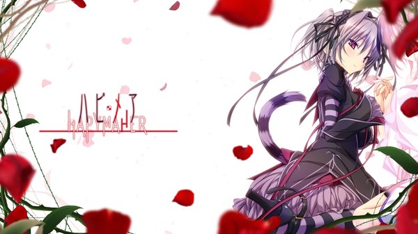 Anime picture 1920x1080 with hapymaher purple software naitou maia koku single blush highres short hair red eyes wide image animal ears grey hair girl thighhighs dress flower (flowers) petals striped thighhighs
