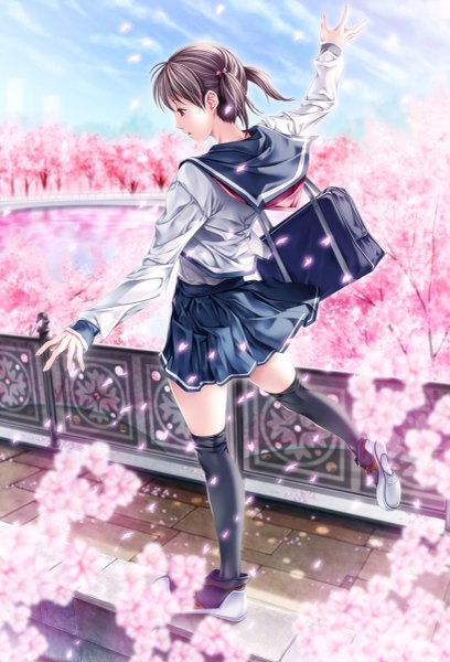 Anime picture 817x1200 with original rezi single tall image short hair brown hair brown eyes looking away from behind zettai ryouiki cherry blossoms girl thighhighs skirt black thighhighs plant (plants) petals tree (trees) serafuku shoes