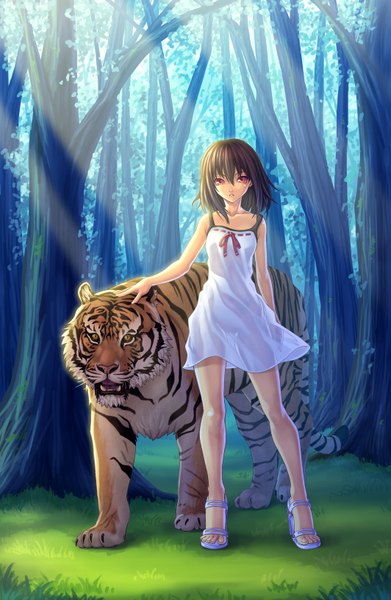 Anime picture 1063x1630 with original aka (shoumae) tall image short hair black hair red eyes girl plant (plants) animal tree (trees) sundress forest sandals tiger