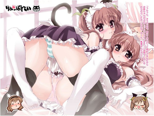 Anime picture 1600x1200 with nogizaka haruka no himitsu nogizaka haruka nogizaka mika shaa nekobasutei light erotic maid cat girl girl thighhighs underwear panties striped panties