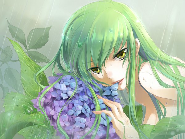 Anime picture 1050x787 with code geass sunrise (studio) c.c. isumimax single long hair fringe light erotic bare shoulders yellow eyes green hair wet topless rain girl flower (flowers) plant (plants) hydrangea