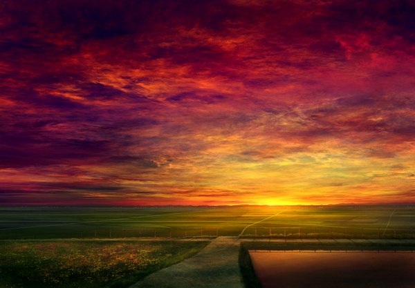 Anime picture 1624x1131 with original mks sky cloud (clouds) evening sunset horizon no people scenic field lake red sky flower (flowers) plant (plants) grass road path