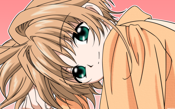 Anime picture 1920x1200 with tsubasa reservoir chronicle clamp sakura hime highres wide image