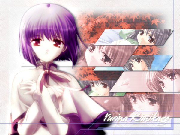 Anime picture 1024x768 with canvas (anime) kimikage yurina looking at viewer short hair red eyes purple hair character names multiview alternate hair color girl leaf (leaves) mantle autumn leaves