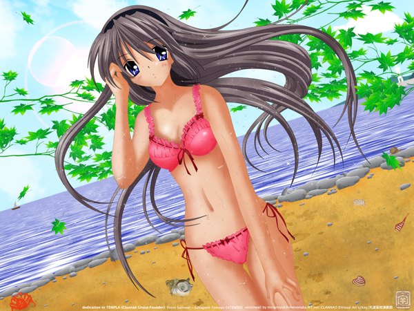 Anime picture 2048x1536 with clannad key (studio) sakagami tomoyo long hair highres blue eyes light erotic silver hair grey hair girl underwear swimsuit plant (plants) bikini