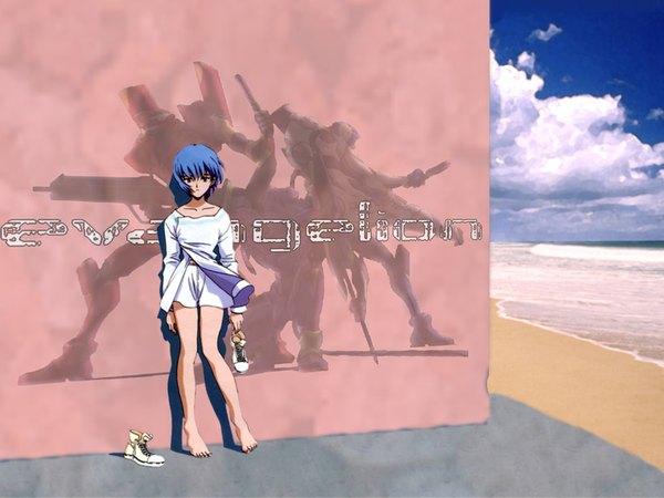 Anime picture 1024x768 with neon genesis evangelion gainax ayanami rei full body tagme