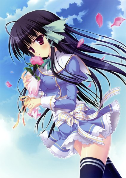 Anime picture 2214x3142 with can fes! kagesaka homare hinamatsuri touko long hair tall image highres black hair red eyes cloud (clouds) girl thighhighs flower (flowers) bow black thighhighs petals serafuku rose (roses) pink rose