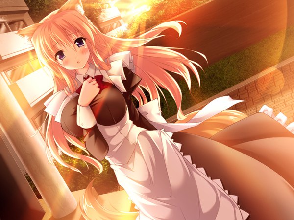 Anime-Bild 800x600 mit sakura iro quartet ui (sakura no iro quartet) piromizu single long hair looking at viewer blush fringe breasts blue eyes blonde hair hair between eyes large breasts animal ears game cg tail animal tail sunlight :o maid