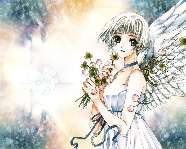 Anime picture 1280x1024 with clover (manga) clamp suu (clover) single looking at viewer short hair bare shoulders green eyes white hair girl flower (flowers) wings sundress