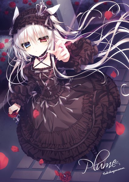 Anime picture 700x989 with original alice claudia tsukikage nemu single tall image looking at viewer blush fringe hair between eyes signed animal ears white hair very long hair cat ears cat girl loli heterochromia outstretched hand girl dress