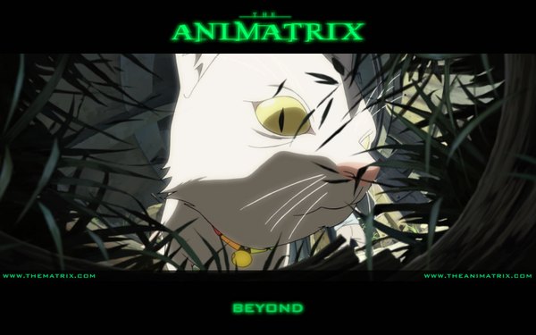 Anime picture 1440x900 with animatrix yuki (animatrix) wide image yellow eyes inscription plant (plants) animal bell cat grass collar