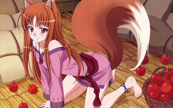 Anime picture 2560x1600 with spice and wolf horo highres wide image