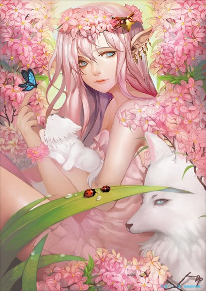 Anime picture 700x990 with original dapang long hair tall image looking at viewer fringe blue eyes sitting bare shoulders holding animal ears pink hair tail animal tail hair flower light smile pointy ears bare legs piercing wolf ears