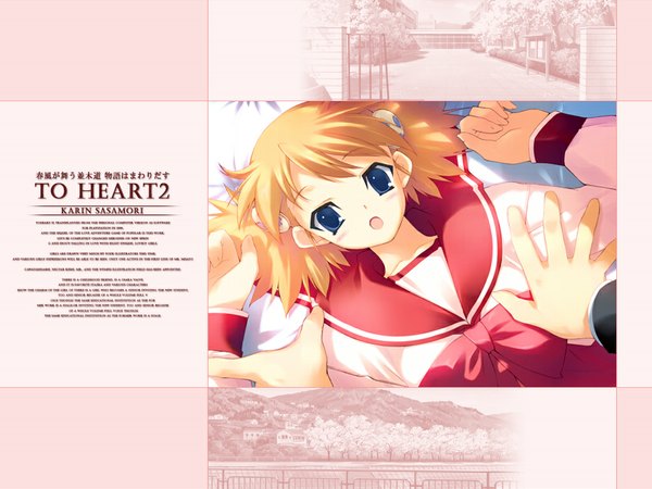 Anime picture 1024x768 with to heart 2 leaf (studio) sasamori karin blue eyes wallpaper girl uniform school uniform serafuku