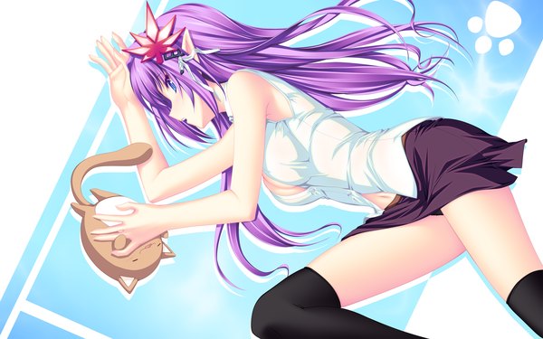 Anime picture 2560x1600 with tenmaso single long hair highres blue eyes light erotic wide image cleavage purple hair pointy ears girl thighhighs skirt black thighhighs miniskirt
