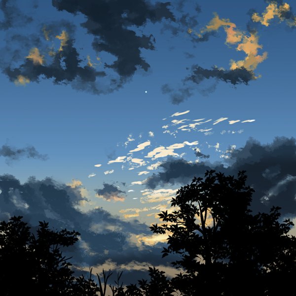Anime picture 1000x1000 with original tokumu kyuu sky cloud (clouds) no people landscape twilight plant (plants) tree (trees) star (stars)