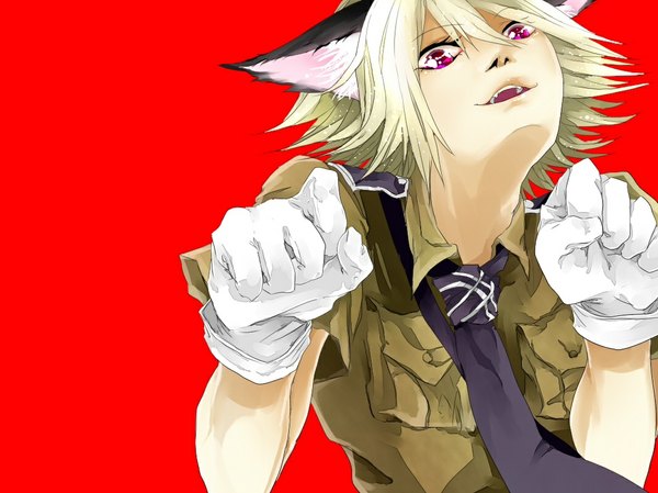 Anime picture 1067x800 with hellsing schrodinger tagme (artist) single looking at viewer short hair open mouth simple background blonde hair animal ears pink eyes light smile cat ears red background wolf ears boy gloves uniform necktie military uniform