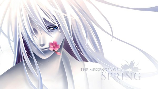Anime picture 1600x900 with hiiro no kakera yuuichi komura single long hair fringe blue eyes wide image white hair hair over one eye mouth hold flower in mouth boy flower (flowers)