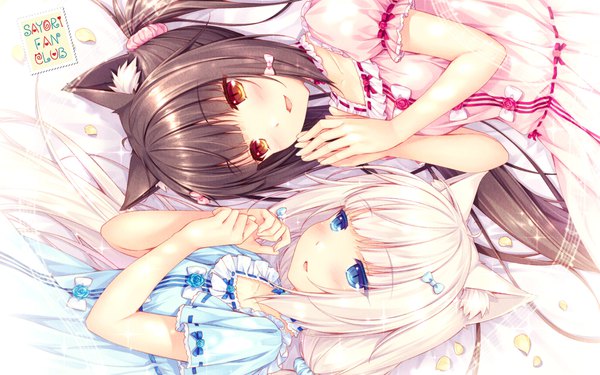 Anime picture 1920x1200 with neko paradise neko works (studio) vanilla (nekopara) chocola (nekopara) sayori long hair blush fringe highres blue eyes brown hair twintails multiple girls brown eyes animal ears payot looking away upper body white hair parted lips