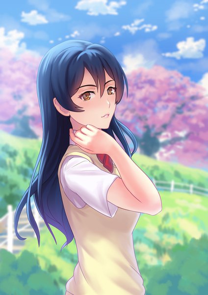 Anime picture 744x1052 with love live! school idol project sunrise (studio) love live! sonoda umi fateline alpha single long hair tall image fringe hair between eyes brown eyes blue hair sky cloud (clouds) upper body outdoors cherry blossoms turning head spring girl