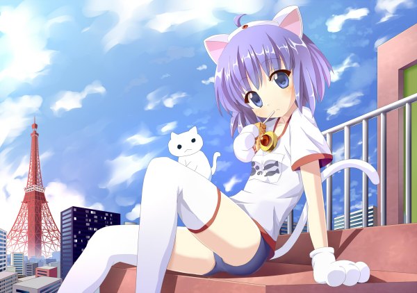 Anime picture 1200x844 with soreyuke! buruyanman burunyanman francis (ohne) short hair blue eyes animal ears blue hair ahoge animal tail cat ears cat tail girl thighhighs animal white thighhighs cat