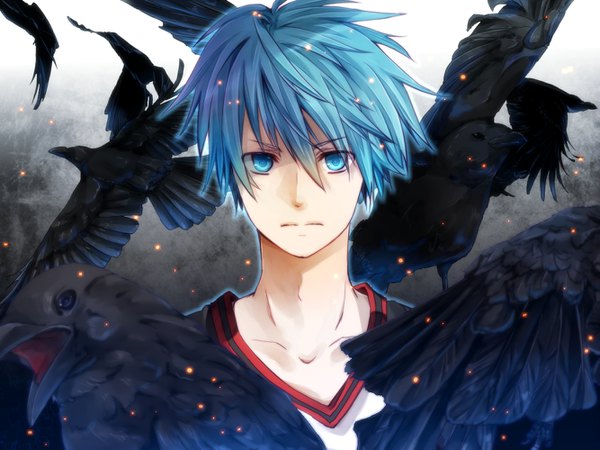 Anime picture 1333x1000 with kuroko no basket production i.g kuroko tetsuya mochitachio single looking at viewer fringe short hair blue eyes hair between eyes blue hair upper body serious boy animal bird (birds) crow