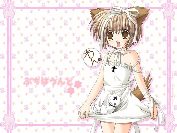 Anime picture 1024x768 with nekoneko animal ears cat girl dog girl girl ribbon (ribbons)