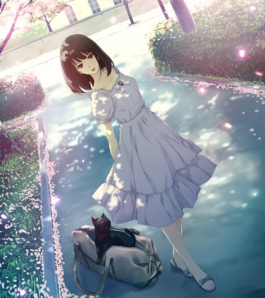 Anime picture 1024x1152 with caucasus nanatsuki venio sugina miki tall image short hair open mouth brown hair brown eyes full body mole spring girl dress plant (plants) animal petals tree (trees) white dress cat bag