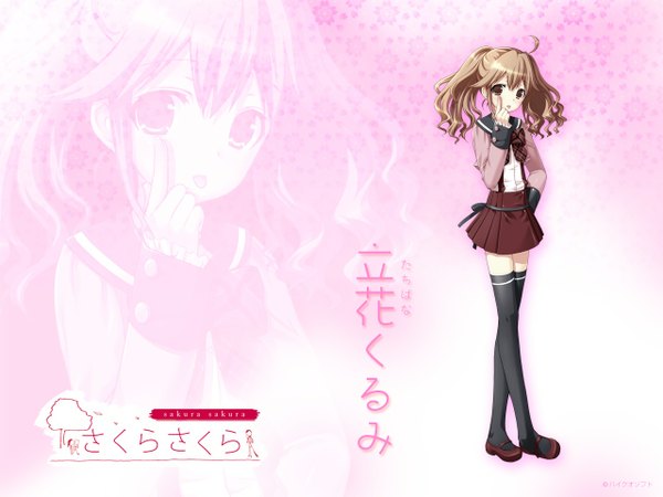Anime picture 1280x960 with sakura sakura tagme
