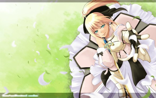 Anime picture 1440x900 with fate (series) fate/stay night fate/unlimited codes studio deen type-moon artoria pendragon (all) saber saber lily wide image