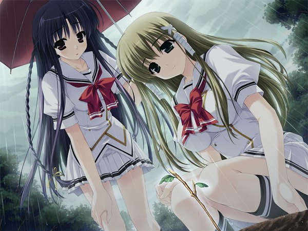 Anime picture 1200x900 with amatsu misora ni! tobari chisa hazuki mikage shintarou long hair black hair blonde hair multiple girls green eyes game cg braid (braids) black eyes twin braids squat tress ribbon shared umbrella girl ribbon (ribbons) 2 girls plant (plants)