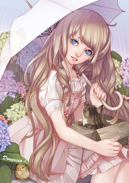 Anime picture 2480x3508 with dong xiao long hair tall image looking at viewer highres blue eyes blonde hair sitting signed rain girl dress flower (flowers) animal bird (birds) umbrella cat hydrangea cardboard box