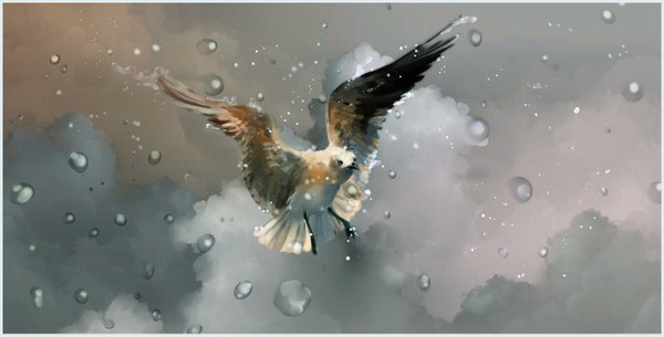Anime picture 1500x763 with masakohime (artist) wide image sky cloud (clouds) wet border rain animal bird (birds) splashes