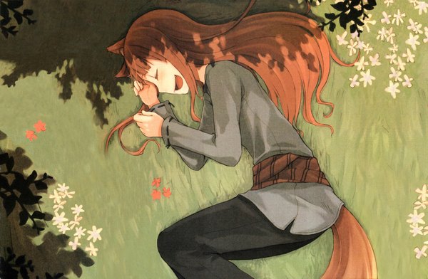 Anime picture 4200x2749 with spice and wolf horo ayakura juu single long hair highres smile red eyes brown hair animal ears absurdres lying eyes closed shadow wolf ears wolf tail wolf girl girl flower (flowers)